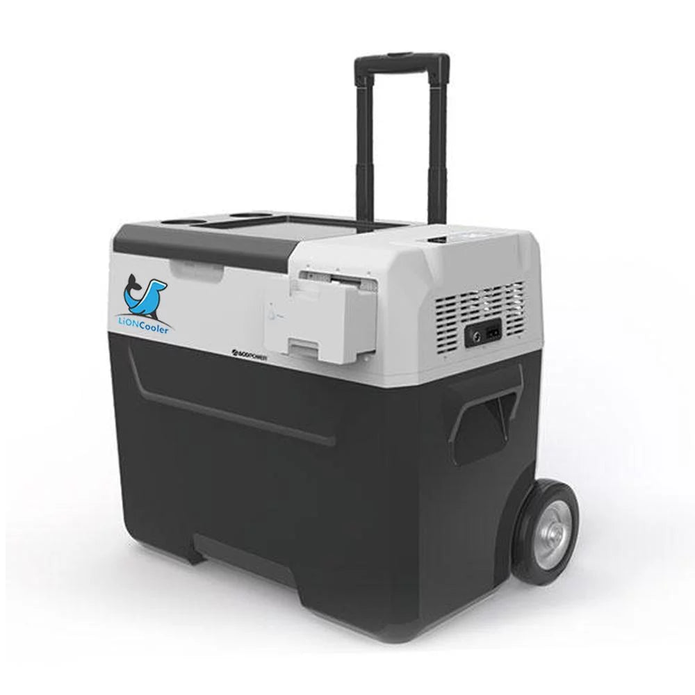 Combo, X40A Portable Solar Fridge/Freezer (42 Quarts) and 90W Solar Panel